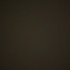 Everlast Light Purple CropTop